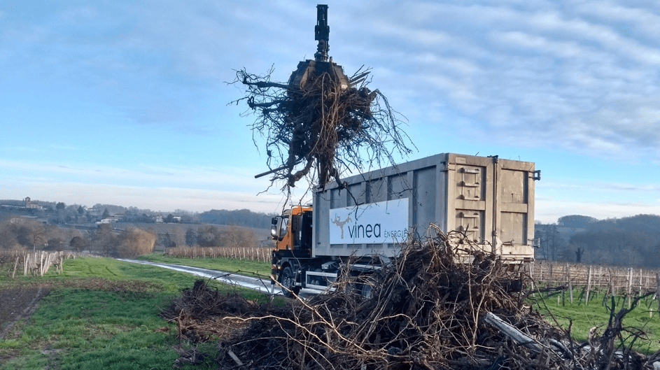 Vinéa Energie revalorise les ceps de vigne en énergie renouvelable — free download